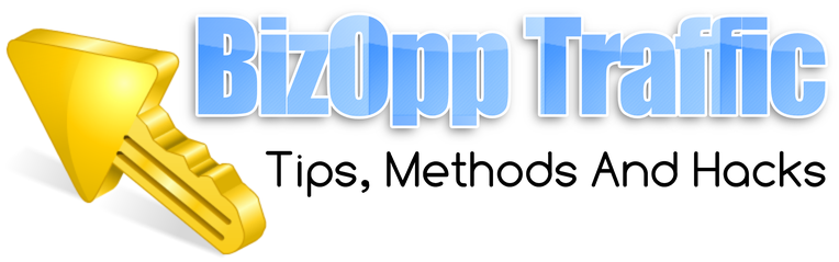 BizOpp Traffic Tips